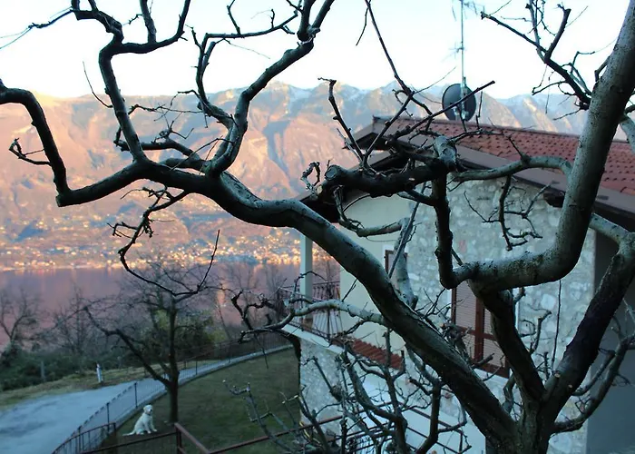 Villa Panoramica