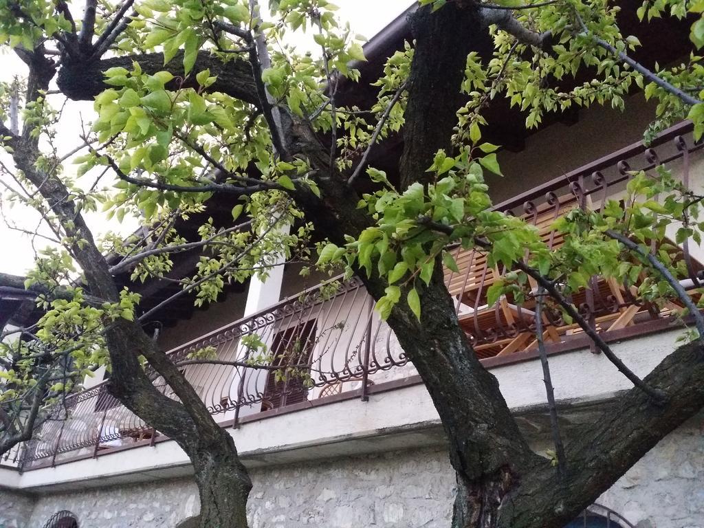 Panoramica *