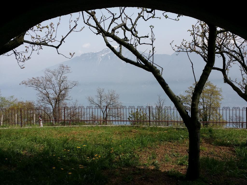 Panoramica