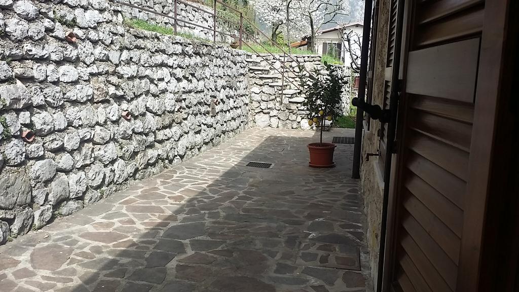 Panoramica *